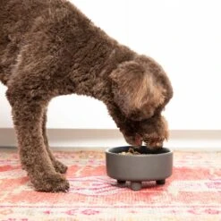 Waggo Uplift Elevated Ceramic Cat & Dog Bowl -Blue Buffalos Shop 889142 PT2. AC SS1800 V1698091462