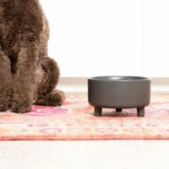 Waggo Uplift Elevated Ceramic Cat & Dog Bowl -Blue Buffalos Shop 889142 PT3. AC SS1800 V1698094193