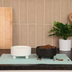 Waggo Uplift Elevated Ceramic Cat & Dog Bowl -Blue Buffalos Shop 889142 PT4. AC SS1800 V1698093460