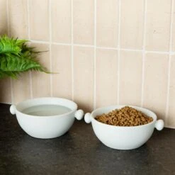 Waggo Bobble Ceramic Cat & Dog Bowl, Medium -Blue Buffalos Shop 889206 PT2. AC SS1800 V1698346578