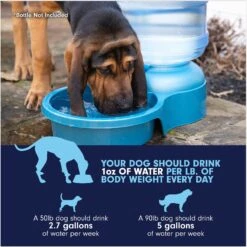 Petmate Big Blue Outdoor Dog Water Bowl, 5-gal -Blue Buffalos Shop 891350 PT6. AC SS1800 V1688579736
