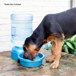 Petmate Big Blue Outdoor Dog Water Bowl, 5-gal -Blue Buffalos Shop 891350 PT7. AC SS1800 V1688567912