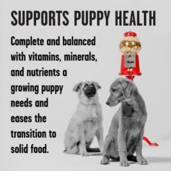 BIXBI Rawbble Grain-Free Canned Turkey Recipe Wet Dog Food For Puppies, 12.5-oz Can, Case Of 12 -Blue Buffalos Shop 895262 PT2. AC SS1800 V1689017844