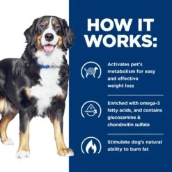 Hill's Prescription Diet Metabolic + Mobility Weight & Joint Care Vegetable & Tuna Stew Canned Dog Food 17 Hill's Prescription Diet Metabolic + Mobility Weight & Joint Care Vegetable & Tuna Stew Canned Dog Food -Blue Buffalos Shop 89574 PT6. AC SS1800 V1521064465