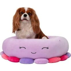 Squishmallows JPT Beula The Octopus Cat & Dog Bed, Purple -Blue Buffalos Shop 898158 PT3. AC SS1800 V1688072135