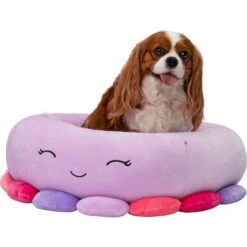 Squishmallows JPT Beula The Octopus Cat & Dog Bed, Purple -Blue Buffalos Shop 898158 PT4. AC SS1800 V1688053908