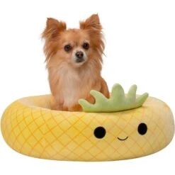 Squishmallows JPT Maui The Pineapple Cat & Dog Bed, Yellow -Blue Buffalos Shop 898214 PT4. AC SS1800 V1688072138