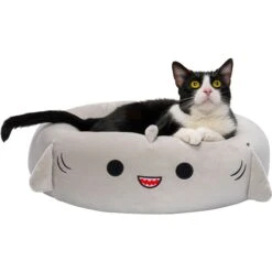 Squishmallows JPT Gordon The Shark Cat & Dog Bed, Grey 15 Squishmallows JPT Gordon The Shark Cat & Dog Bed, Grey -Blue Buffalos Shop 898246 PT6. AC SS1800 V1688062317