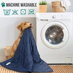 PetAmi Soft Cooling Cat & Dog Blanket -Blue Buffalos Shop 903118 PT4. AC SS1800 V1687881261