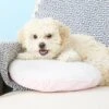 PetZu Heartbeat Dog Pillow -Blue Buffalos Shop 90381 MAIN. AC SS1800 V1566935528