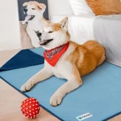 PetAmi Reversible Fleece Waterproof Cat & Dog Blanket 13 PetAmi Reversible Fleece Waterproof Cat & Dog Blanket -Blue Buffalos Shop 904070 PT4. AC SS1800 V1688392684