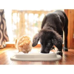 WeatherTech Double Low Stainless Steel Cat & Dog Pet Feeding System -Blue Buffalos Shop 904550 PT2. AC SS1800 V1695576269