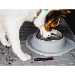 WeatherTech Single Low Poly Bowl Cat & Dog Pet Feeding System 8 WeatherTech Single Low Poly Bowl Cat & Dog Pet Feeding System -Blue Buffalos Shop 905158 PT2. AC SS1800 V1695577429