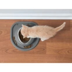 WeatherTech Single Low Poly Bowl Cat & Dog Pet Feeding System 9 WeatherTech Single Low Poly Bowl Cat & Dog Pet Feeding System -Blue Buffalos Shop 905158 PT3. AC SS1800 V1695577428