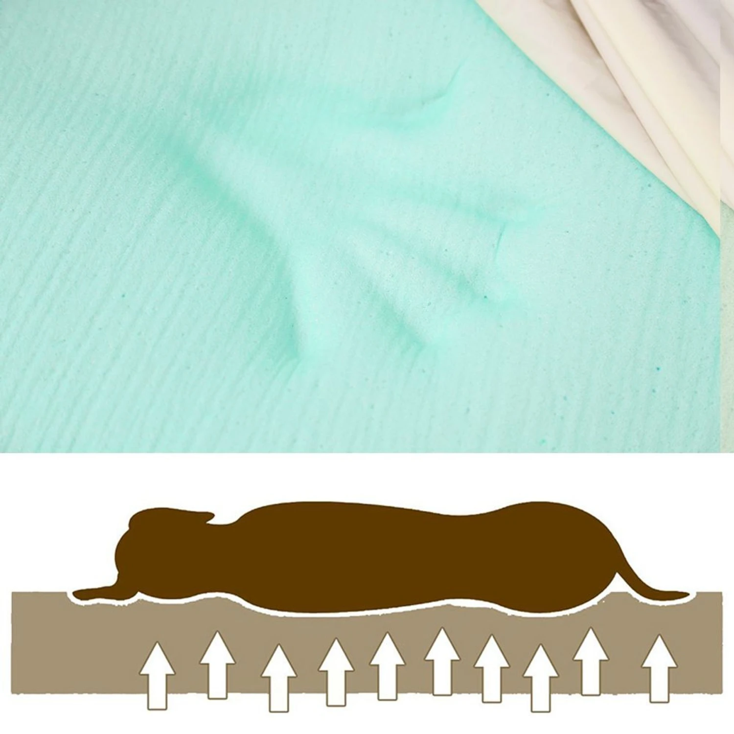 LaiFug Single Pillow Dog Bed 5 LaiFug Single Pillow Dog Bed - Image 3