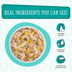 Weruva Dogs In The Kitchen Funk In The Trunk With Chicken Breast & Pumpkin Au Jus Grain-Free Canned Dog Food 13 Weruva Dogs In The Kitchen Funk In The Trunk With Chicken Breast & Pumpkin Au Jus Grain-Free Canned Dog Food -Blue Buffalos Shop 91020 PT2. AC SS1800 V1700860165