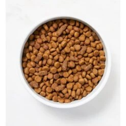 Martha Stewart Pet Food Beef & Chickpea Recipe With Garden Vegetables Dry Dog Food -Blue Buffalos Shop 910934 PT2. AC SS1800 V1690992655
