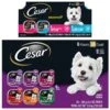Cesar Classic Loaf In Sauce Variety Pack Grain-Free Small Breed Adult Wet Dog Food Trays & Cesar Breakfast Classic Loaf In Sauce Variety Pack Small Breed Adult Wet Dog Food Trays -Blue Buffalos Shop 916502 MAIN. AC SS1800 V1689884012