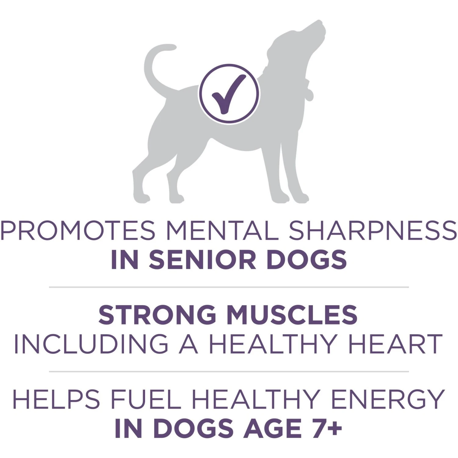 Purina ONE High Protein + Vibrant Maturity 7 Plus Formula Dry Senior Dog Food 6 Purina ONE High Protein + Vibrant Maturity 7 Plus Formula Dry Senior Dog Food - Image 4