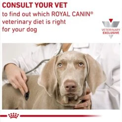 Royal Canin Veterinary Diet Hydrolyzed Protein Dry Puppy Dog Food -Blue Buffalos Shop 919486 PT8. AC SS1800 V1695054512