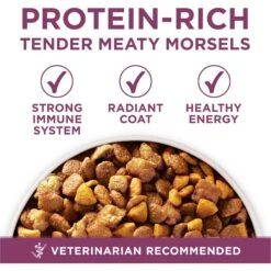 Purina ONE +Plus Natural High Protein Healthy Puppy Formula Dry Puppy Food -Blue Buffalos Shop 91979 PT2. AC SS1800 V1647915088