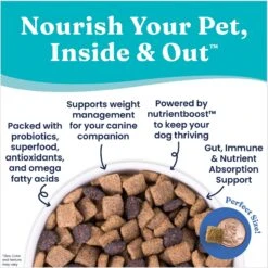 Solid Gold Nutrientboost Fit & Fabulous Weight Control Grain-Free Chicken, Sweet Potato & Green Bean Dry Dog Food 15 Solid Gold Nutrientboost Fit & Fabulous Weight Control Grain-Free Chicken, Sweet Potato & Green Bean Dry Dog Food -Blue Buffalos Shop 920806 PT4. AC SS1800 V1695999060