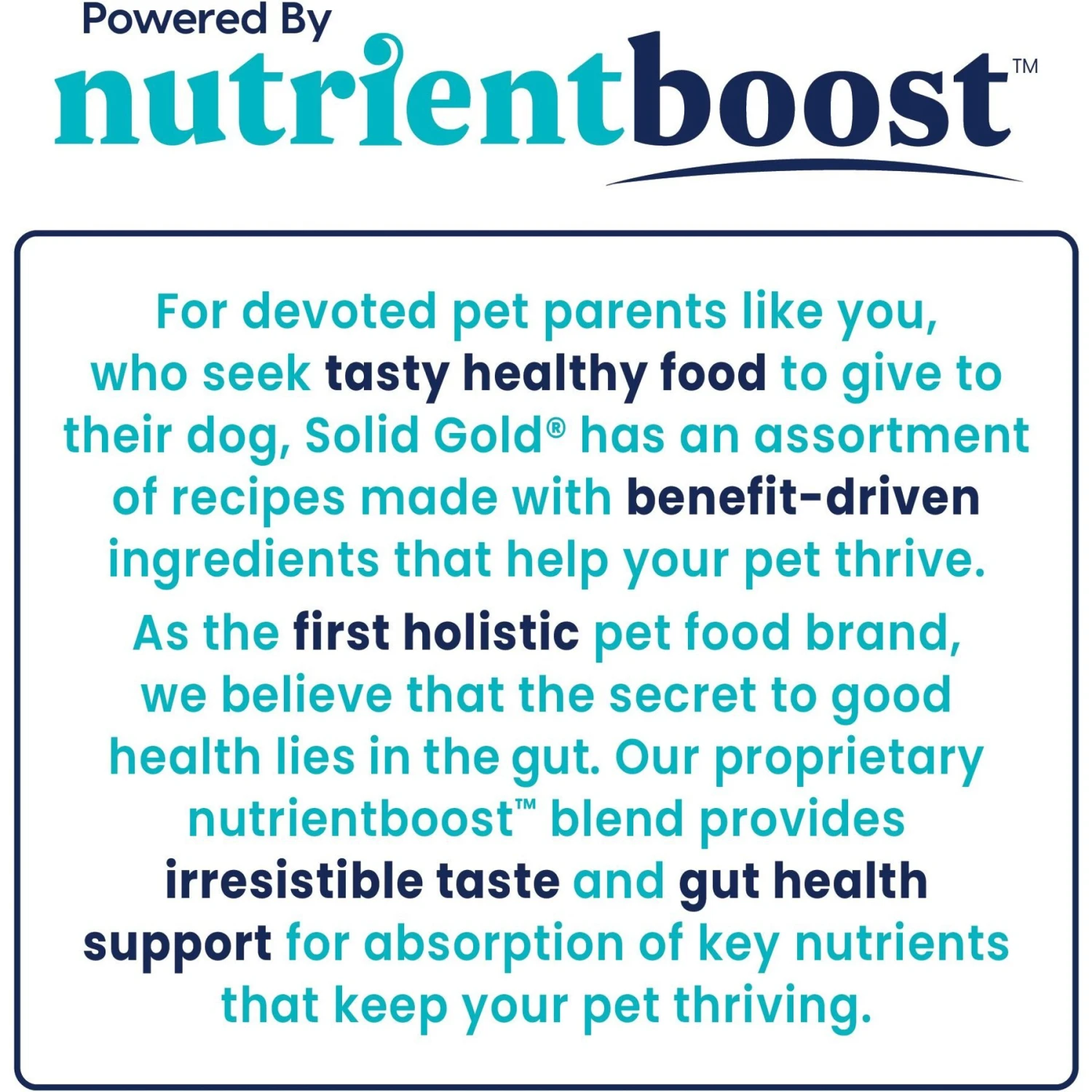 Solid Gold Nutrientboost Fit & Fabulous Weight Control Grain-Free Chicken, Sweet Potato & Green Bean Dry Dog Food 8 Solid Gold Nutrientboost Fit & Fabulous Weight Control Grain-Free Chicken, Sweet Potato & Green Bean Dry Dog Food - Image 6