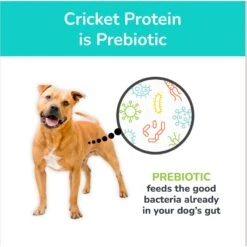 Jiminy's Cravin' Cricket Entree Organic Wet Dog Food, 6 Count -Blue Buffalos Shop 926662 PT5. AC SS1800 V1696262856