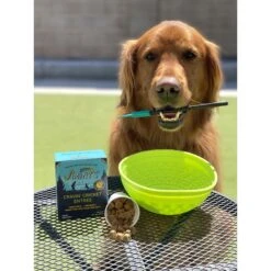 Jiminy's Cravin' Cricket Entree Organic Wet Dog Food, 6 Count -Blue Buffalos Shop 926662 PT8. AC SS1800 V1695996669