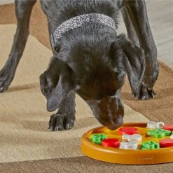 Brightkins Pizza Party! Treat Puzzle Dog Toy -Blue Buffalos Shop 930086 PT3. AC SS1800 V1698765996