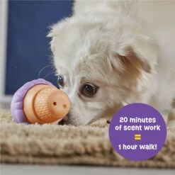 Brightkins Small Ice Cream Treat Dispenser Dog Toy 11 Brightkins Small Ice Cream Treat Dispenser Dog Toy -Blue Buffalos Shop 930134 PT2. AC SS1800 V1698765995