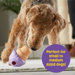 Brightkins Small Ice Cream Treat Dispenser Dog Toy 12 Brightkins Small Ice Cream Treat Dispenser Dog Toy -Blue Buffalos Shop 930134 PT3. AC SS1800 V1698766048