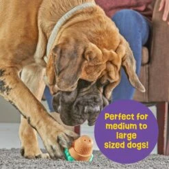 Brightkins Large Ice Cream Treat Dispenser Dog Toy -Blue Buffalos Shop 930150 PT3. AC SS1800 V1698766692