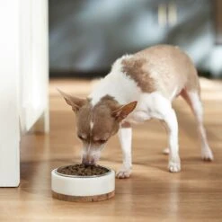 VICTOR Classic Hi-Pro Plus Formula Dry Dog Food -Blue Buffalos Shop 93064 PT3. AC SS1800 V1682710810