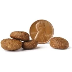 VICTOR Purpose Senior Healthy Weight Dry Dog Food -Blue Buffalos Shop 93070 PT3. AC SS1800 V1677680750