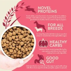 Earthborn Holistic Unrefined Roasted Rabbit With Ancient Grains & Superfoods Dry Dog Food -Blue Buffalos Shop 931318 PT3. AC SS1800 V1697754569