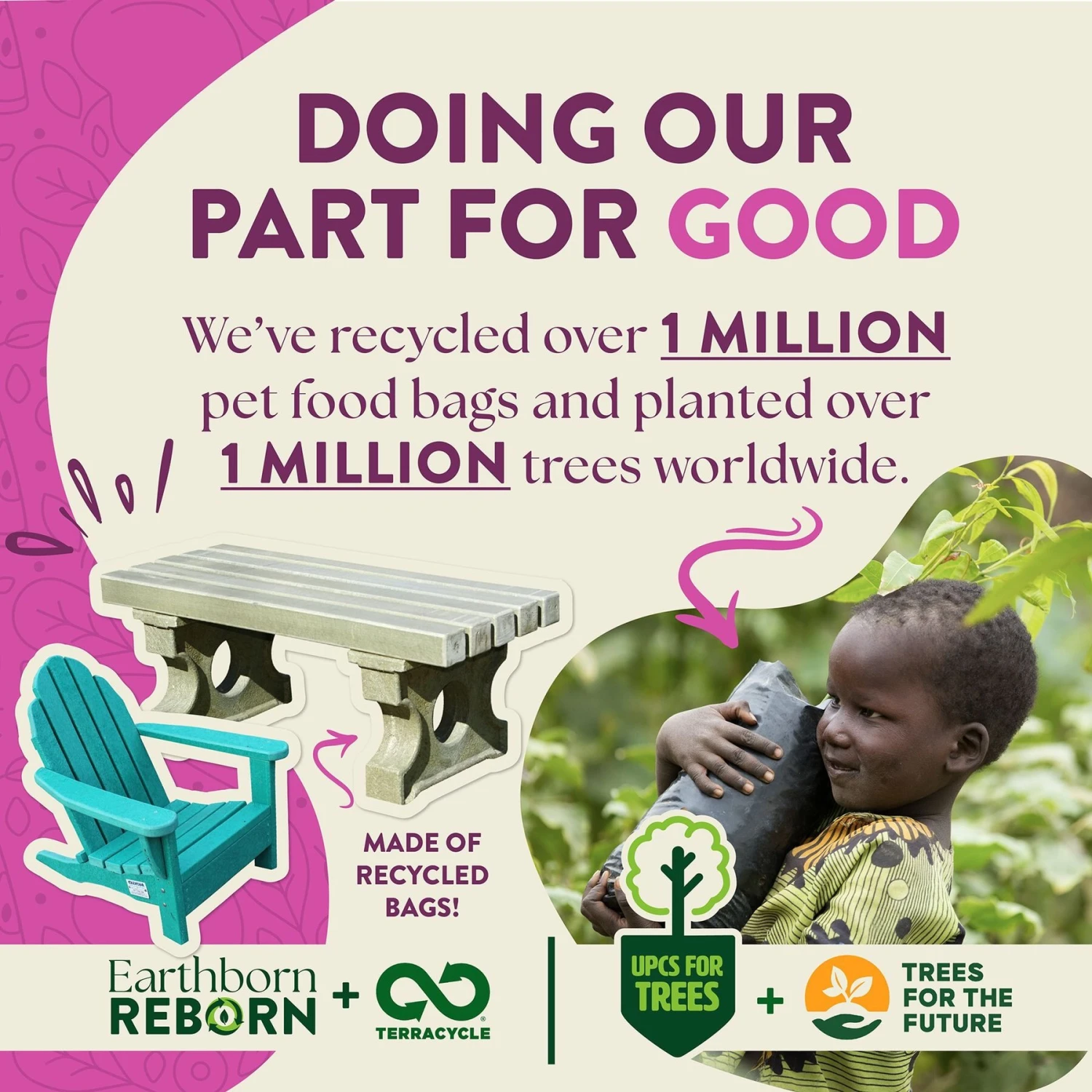 Earthborn Holistic Meadow Feast Lamb Meal & Vegetables Grain-Free Dry Dog Food 9 Earthborn Holistic Meadow Feast Lamb Meal & Vegetables Grain-Free Dry Dog Food - Image 7