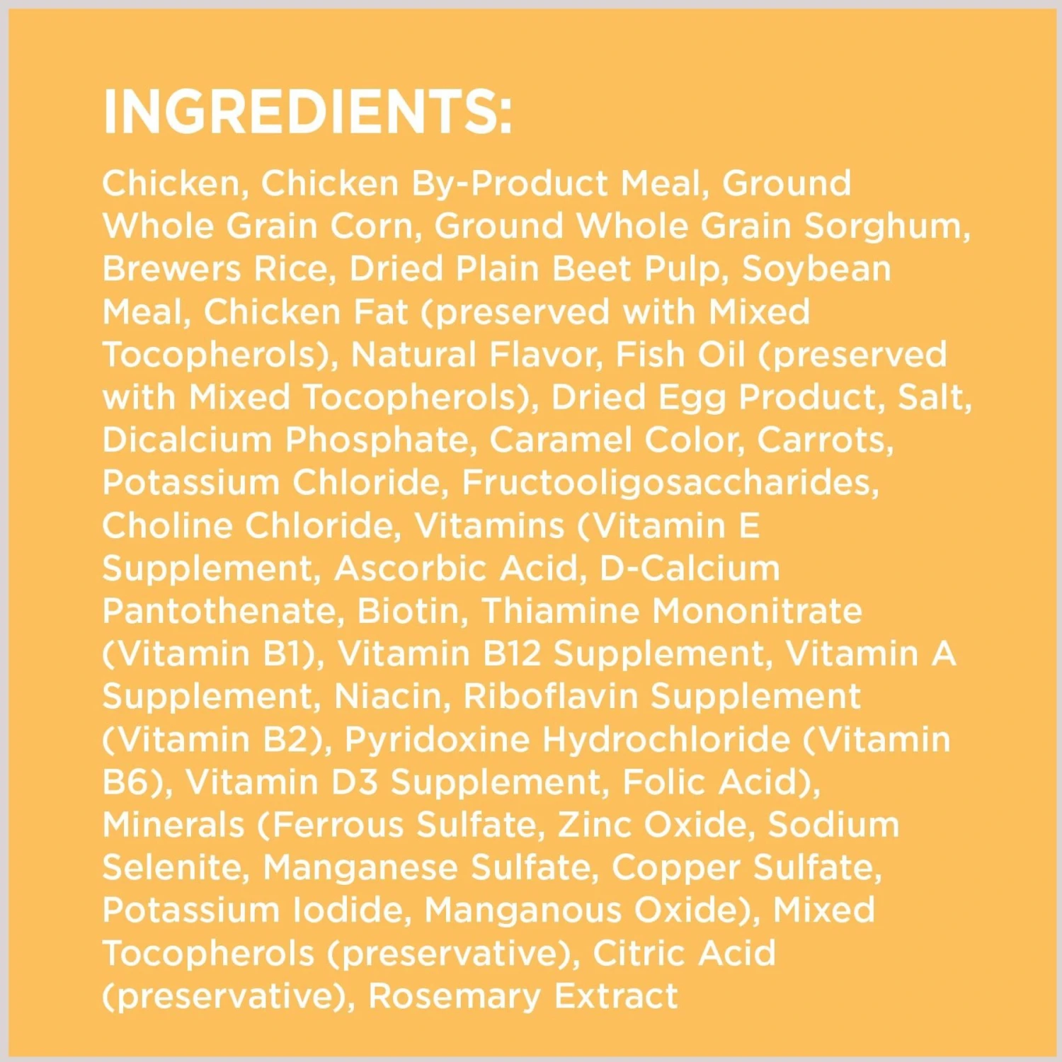 Iams Proactive Health Puppy High Protein DHA Formula With Real Chicken Dry Dog Food & Iams ProActive Health Classic Ground With Chicken & Rice Puppy Wet Dog Food 6 Iams Proactive Health Puppy High Protein DHA Formula With Real Chicken Dry Dog Food & Iams ProActive Health Classic Ground With Chicken & Rice Puppy Wet Dog Food - Image 4