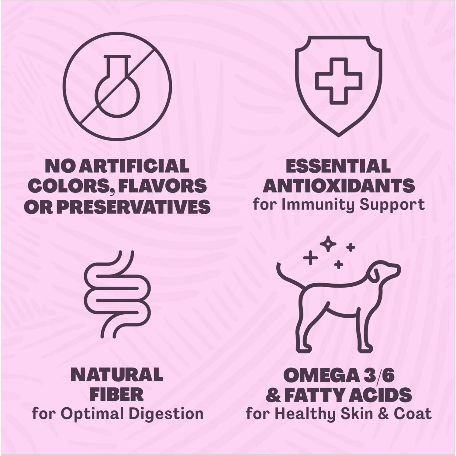 REÁL MESA Puppy Chicken & Vegetable Asado Dog Food 5 REÁL MESA Puppy Chicken & Vegetable Asado Dog Food - Image 3