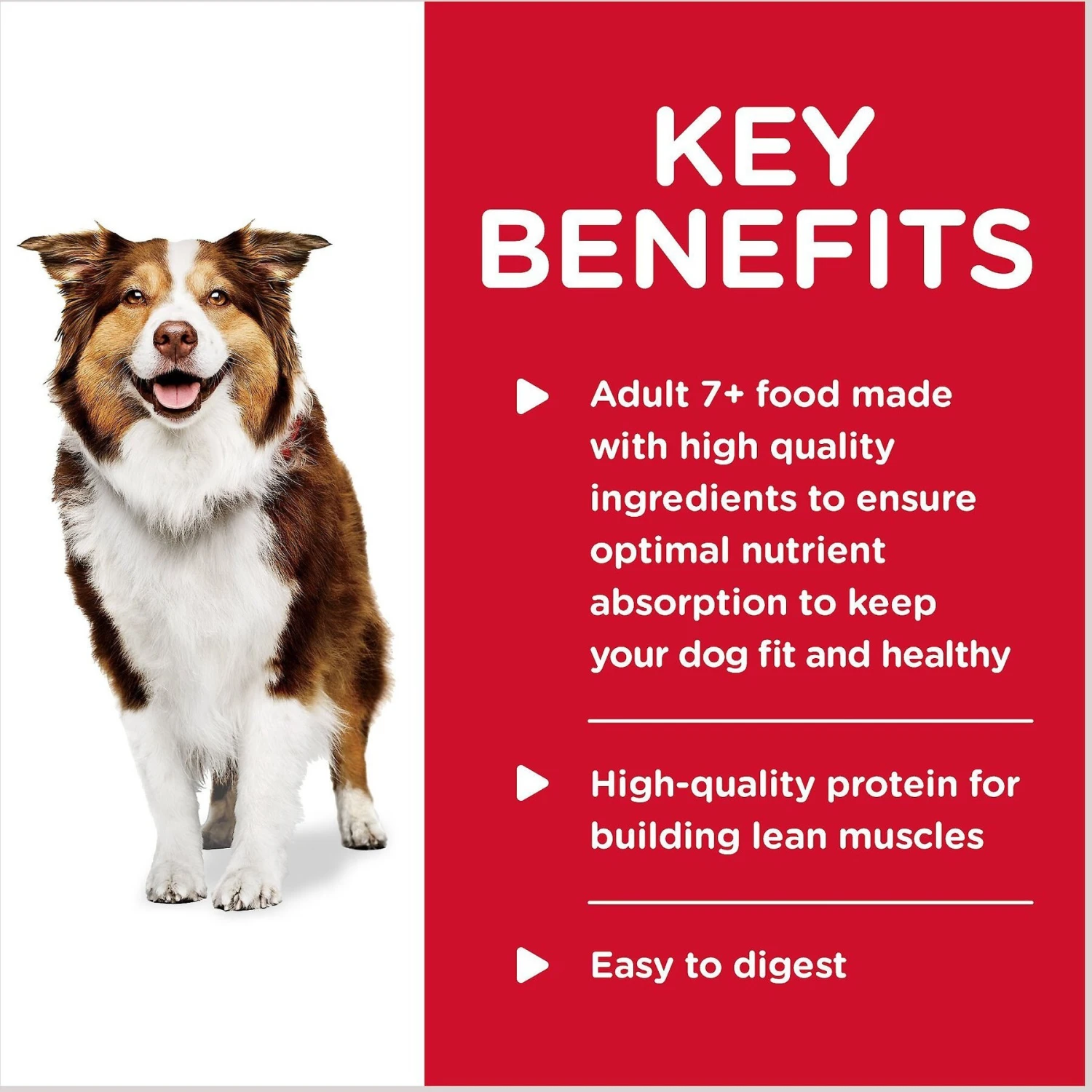 Hill's Science Diet Adult 7+ Healthy Cuisine Roasted Chicken, Carrots & Spinach Stew Canned Dog Food 6 Hill's Science Diet Adult 7+ Healthy Cuisine Roasted Chicken, Carrots & Spinach Stew Canned Dog Food - Image 4