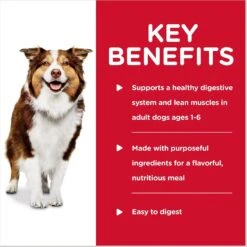 Hill's Science Diet Adult Healthy Cuisine Braised Beef, Carrots & Peas Stew Canned Dog Food -Blue Buffalos Shop 94006 PT3. AC SS1800 V1598148653