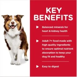 Hill's Science Diet Adult 7+ Healthy Cuisine Braised Beef, Carrots & Peas Stew Canned Dog Food 14 Hill's Science Diet Adult 7+ Healthy Cuisine Braised Beef, Carrots & Peas Stew Canned Dog Food -Blue Buffalos Shop 94008 PT3. AC SS1800 V1598145083