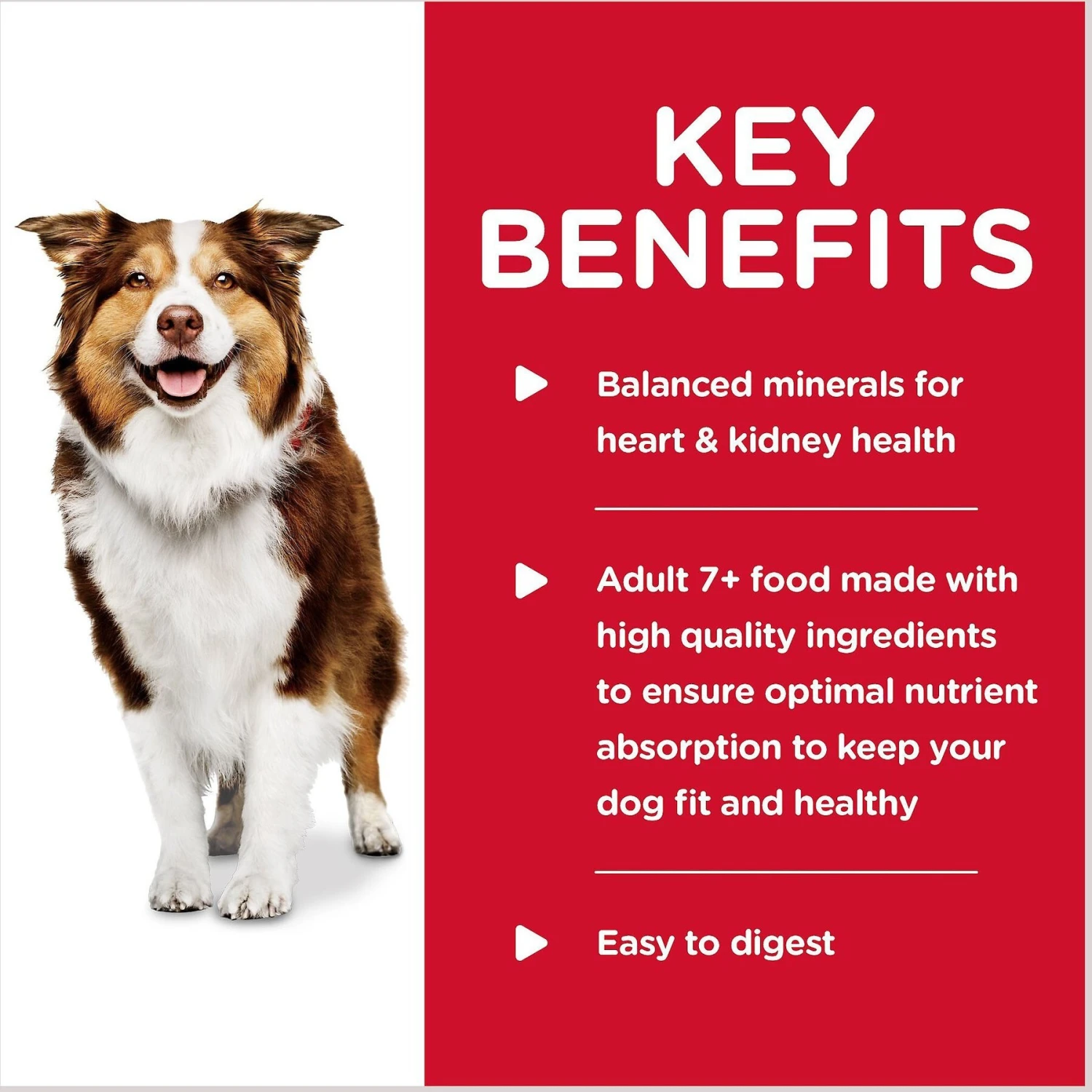 Hill's Science Diet Adult 7+ Healthy Cuisine Braised Beef, Carrots & Peas Stew Canned Dog Food 6 Hill's Science Diet Adult 7+ Healthy Cuisine Braised Beef, Carrots & Peas Stew Canned Dog Food - Image 4