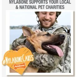 Nylabone Creative Play Eggi Treat Dispenser Dog Toy -Blue Buffalos Shop 940662 PT8. AC SS1800 V1692280402