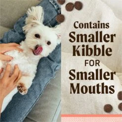 Merrick Lil' Plates Grain-Free Chicken-Free Real Salmon + Sweet Potato Recipe Small Breed Dry Dog Food -Blue Buffalos Shop 94165 PT3. AC SS1800 V1671551625