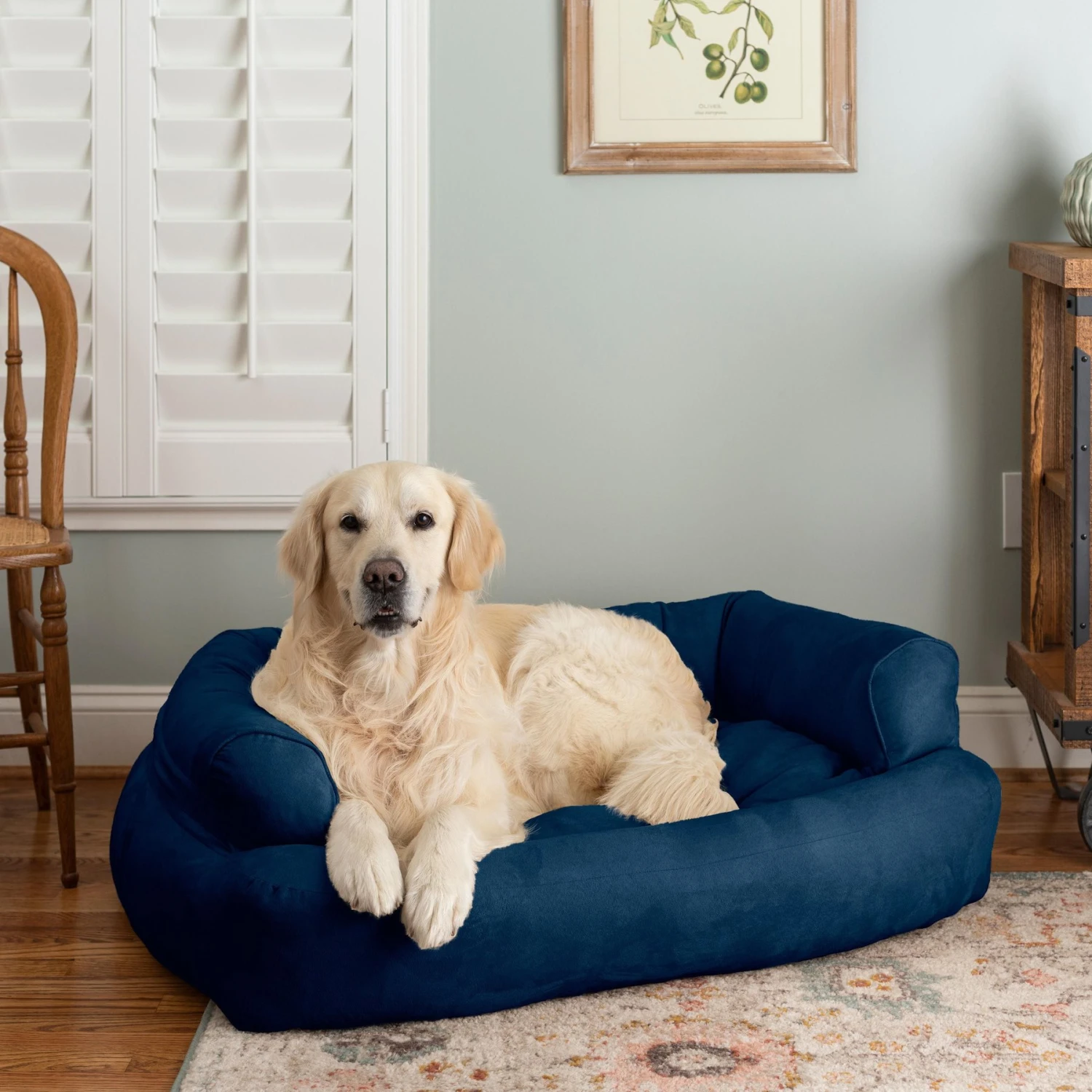 Snoozer Pet Products Luxury Microsuede Overstuffed Dog & Cat Sofa 3 Snoozer Pet Products Luxury Microsuede Overstuffed Dog & Cat Sofa