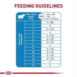 Royal Canin Size Health Nutrition Large Puppy Thin Slices In Gravy Wet Dog Food, 13-oz Can, Case Of 6 -Blue Buffalos Shop 950334 PT6. AC SS1800 V1693497930
