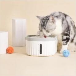 Hanamya Water Fountain Replacement Dog & Cat Filters, 4 Count -Blue Buffalos Shop 954158 PT3. AC SS1800 V1694466046