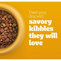 Pedigree High Protein Beef & Lamb Flavor Dog Kibble Adult Dry Dog Food -Blue Buffalos Shop 958998 PT3. AC SS1800 V1695064035