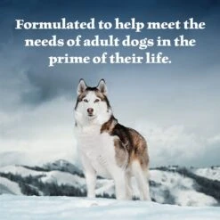 Blue Buffalo Wilderness Denali Dinner With Wild Salmon, Venison & Halibut Grain-Free Canned Dog Food -Blue Buffalos Shop 95954 PT3. AC SS1800 V1604366803